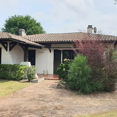 La Gaume Gujanaise - Bassin Arcachon - Piscine Villa *