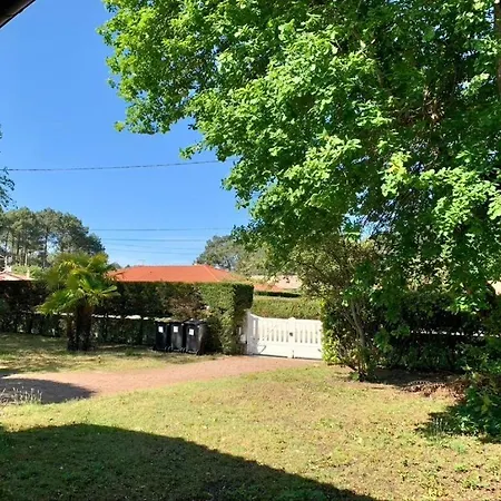 La Gaume Gujanaise - Bassin Arcachon - Piscine Villa *